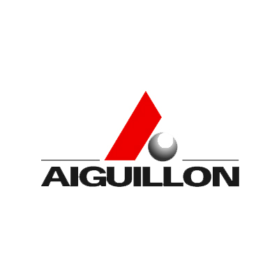 Aiguillon